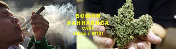 гидра Осинники
