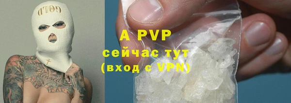гидра Осинники