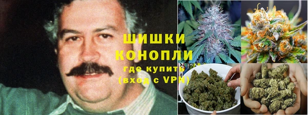Альфа ПВП Остров