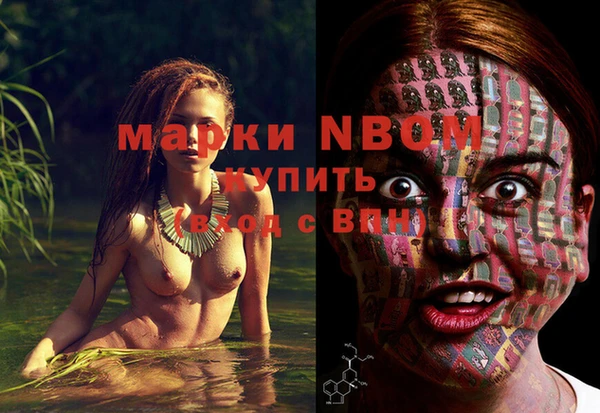 гидра Осинники