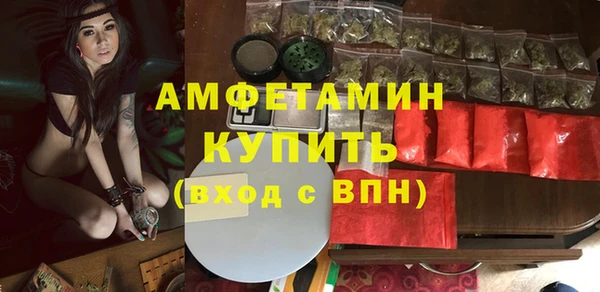 гидра Няндома