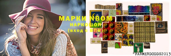 гидра Осинники