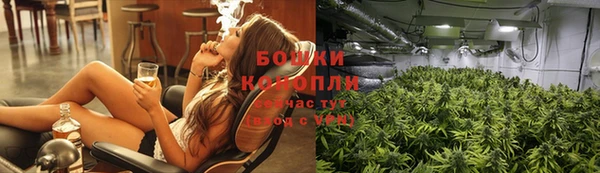 гидра Осинники