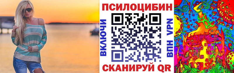 Псилоцибиновые грибы мицелий  Ладушкин 